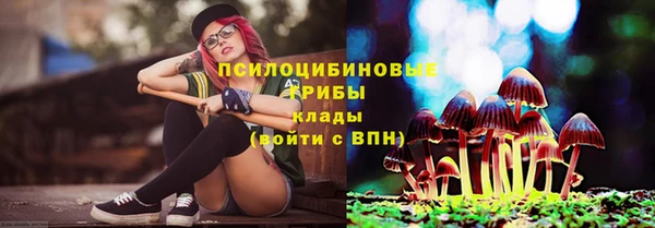 PSILOCYBIN Абаза