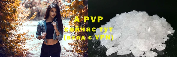 PSILOCYBIN Абаза
