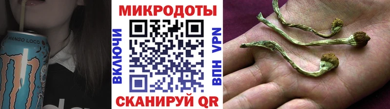 где купить наркотик  Таганрог  Псилоцибиновые грибы Cubensis 